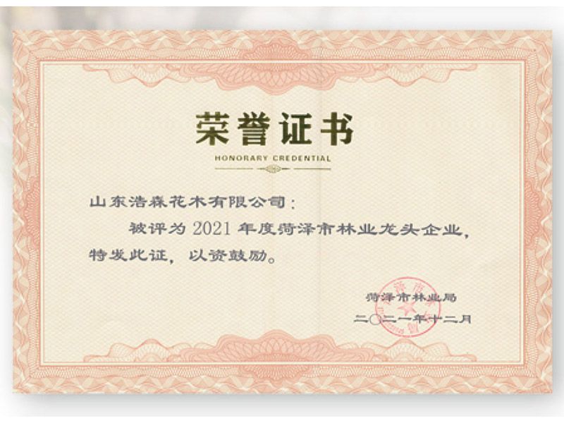 菏澤市林業龍 頭企業